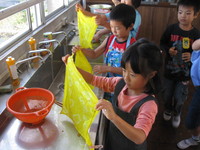 IMG_2882.JPG