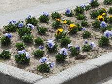 DSCF5437.JPG