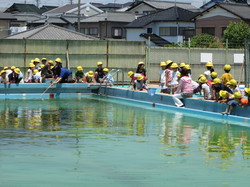 生き物さがし3.JPG