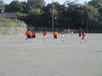 IMG_3767.JPG