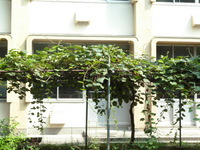 P1020135.JPG