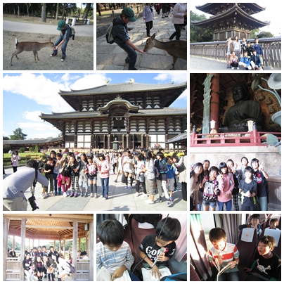 奈良公園２４－２.jpg