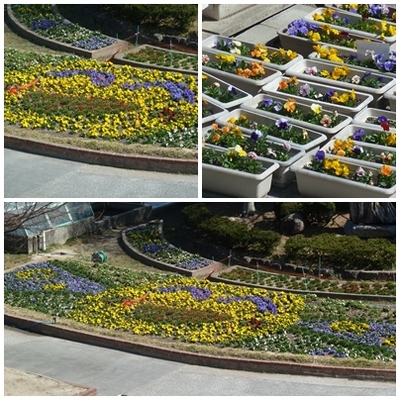 春花壇.jpg