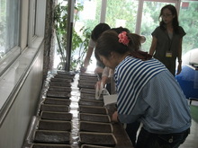 DSCF4546.JPG