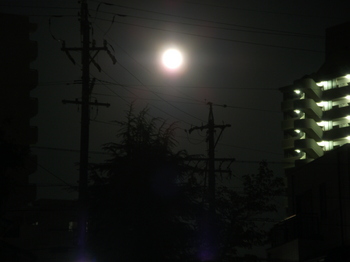 DSCF4979.JPG