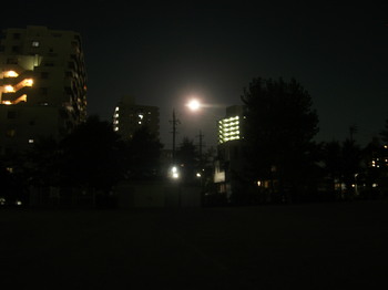 DSCF4985.JPG