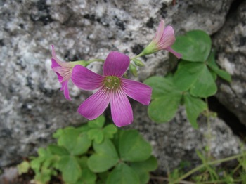 DSCF1933.JPG