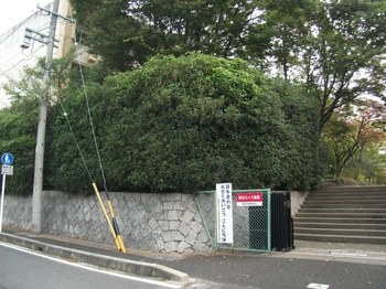 DSCF6560ｎ.JPG