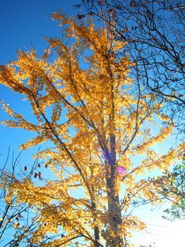 DSCF9459.JPG