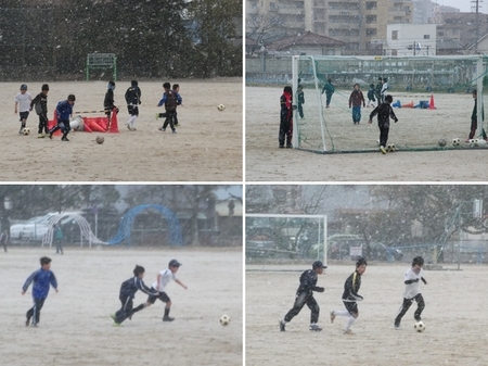 季節外れの雪にも負けず.jpg