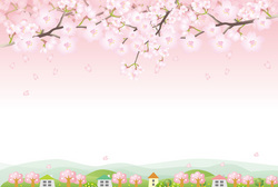 桜風景.jpg