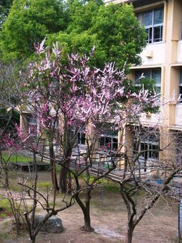 DSCF4078.JPG