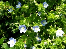 DSCF5025.JPG