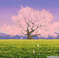 桜風景2.jpg