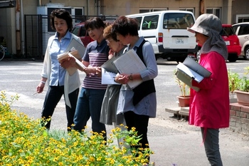 DSCF3449.JPG