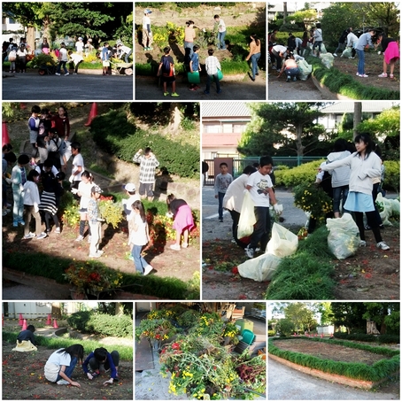 秋花壇撤去2015.jpg