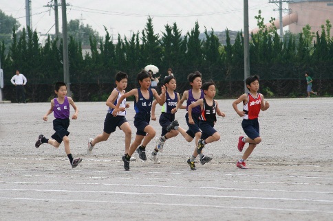 1000M1.jpg