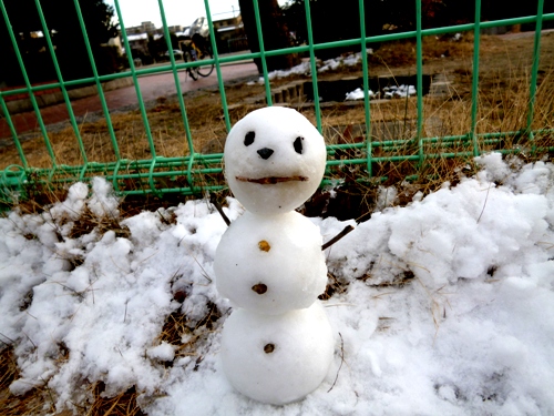 20120202snowman.JPG