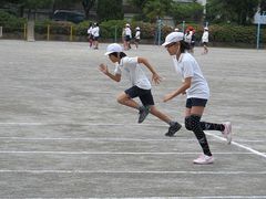 2012-05-18 008.jpg