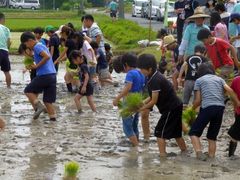 2013-06-09 013.jpg