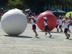 2013-09-28 549.jpg