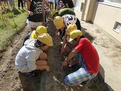 2015-10-07 025.jpg