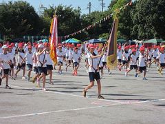 IMG_5646.jpg