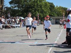 IMG_5663.jpg