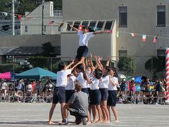 IMG_5805.jpg