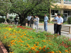 IMG_4260.JPG