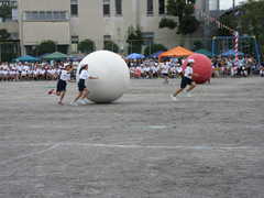 運動会 (24).JPG