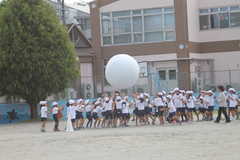 IMG_8717.JPG